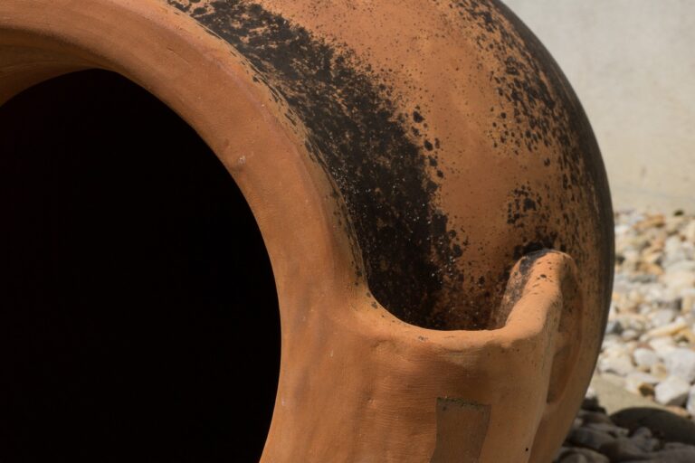 Arqueólogos descubren tumba con recipientes de vino de cinco mil años