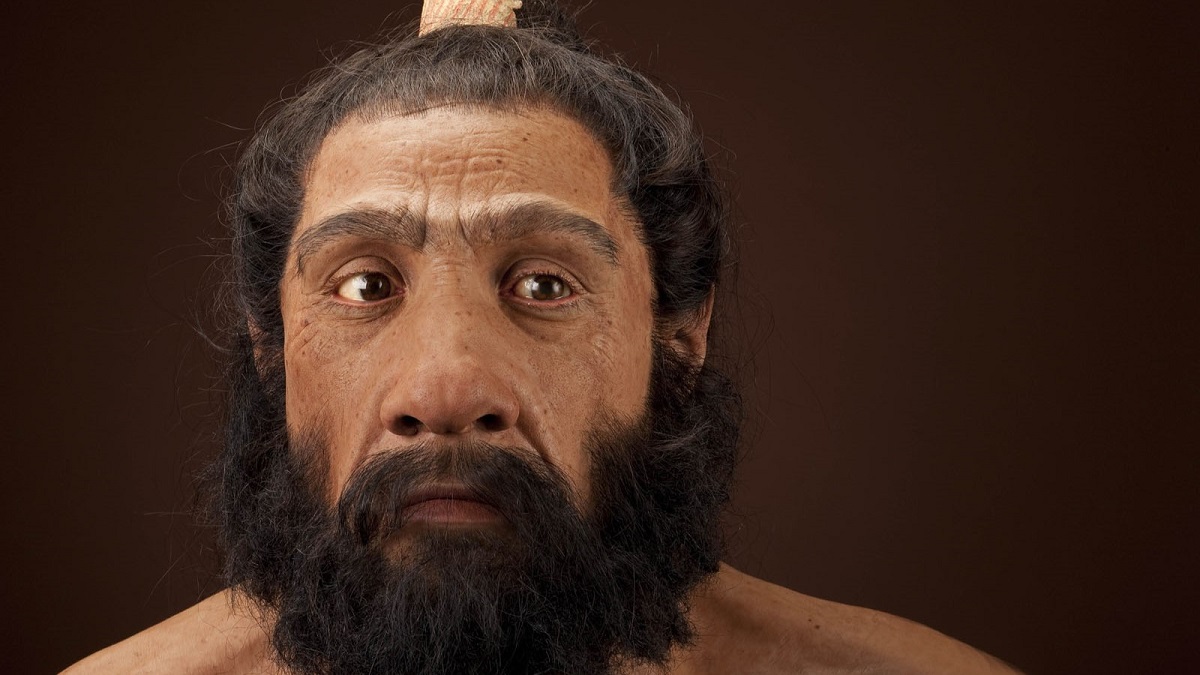 Neandertales habrían cuidado de forma altruista a niña con síndrome de Down